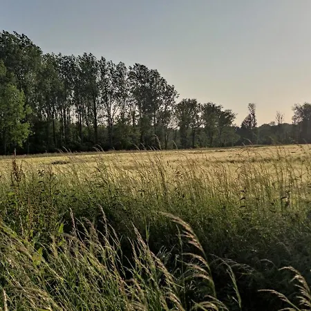 לינה וארוחת בוקר Coeur De Ferme En Pevele Attiches