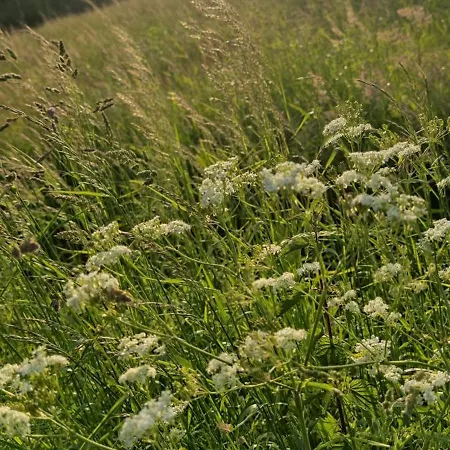 Coeur De Ferme En Pevele 3*