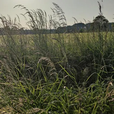 לינה וארוחת בוקר Coeur De Ferme En Pevele Attiches