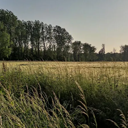 Coeur De Ferme En Pevele